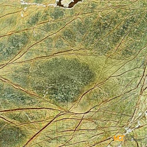 Rain Forest Green Light Marble